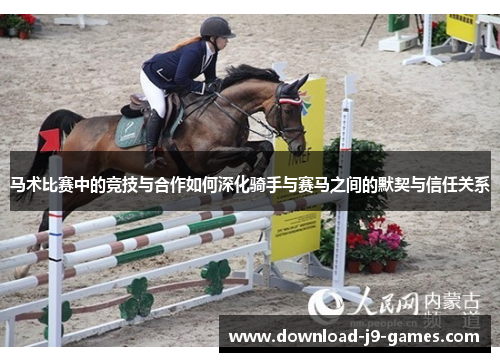 马术比赛中的竞技与合作如何深化骑手与赛马之间的默契与信任关系